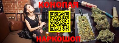 гидра Славгород