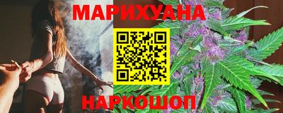 гидра Славгород