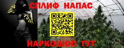 гидра Славгород