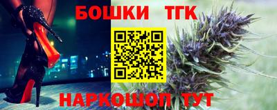 гидра Славгород