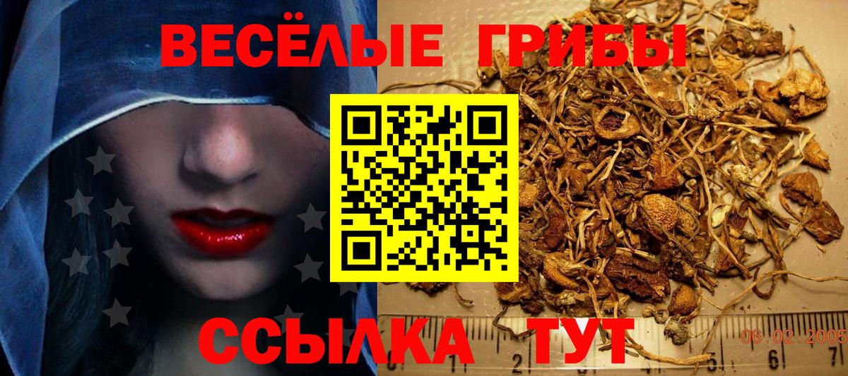 Псилоцибиновые грибы прущие грибы Сочи