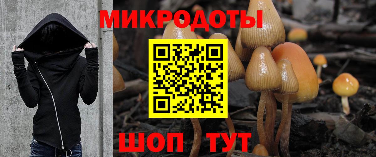 Галлюциногенные грибы Psilocybe  Вход с VPN  Сочи  Галлюциногенные грибы ЛСД 